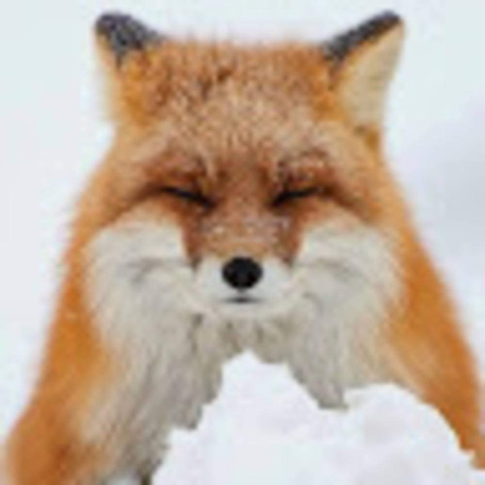 Meet your Posher, Seth